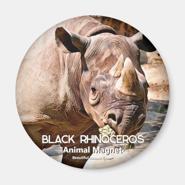 Aimant Rhinoceros noirs (Devant)