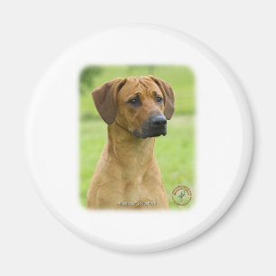 Aimant Rhodesian Ridgeback
