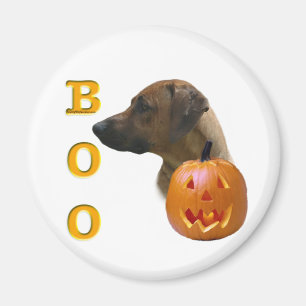 Aimant Rhodesian Ridgeback Boo