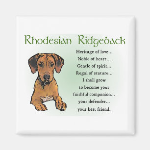 Aimant Rhodesian Ridgeback Cadeaux