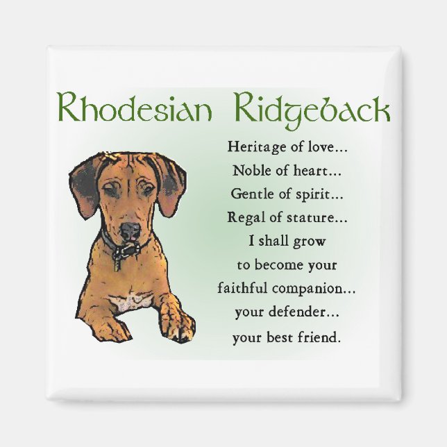 Aimant Rhodesian Ridgeback Cadeaux (Devant)