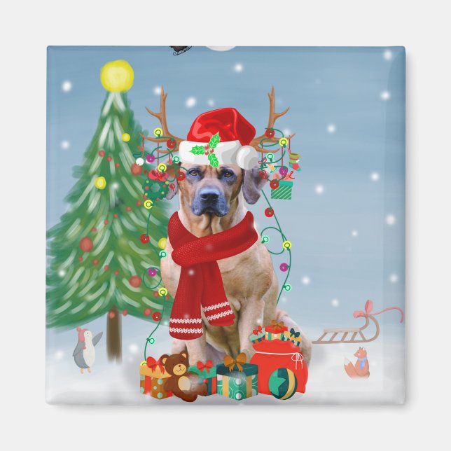 Aimant Rhodesian Ridgeback Chien dans neige cadeau de Noë (Devant)