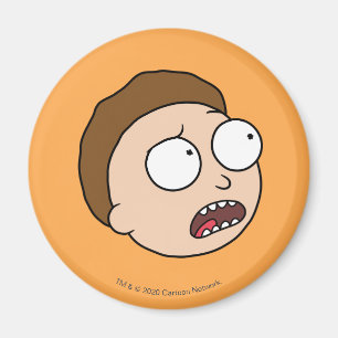 Aimant RICK ET MORTY™ Morty's Moods