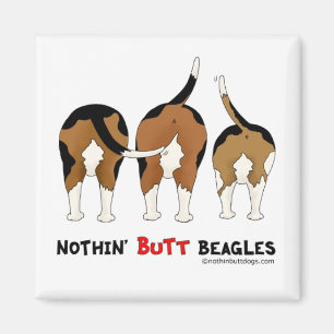 Aimant Rien n'aboutent des beagles