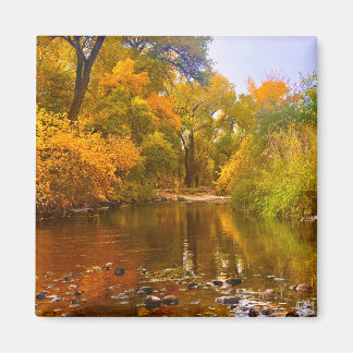 Aimant Rivage d'automne