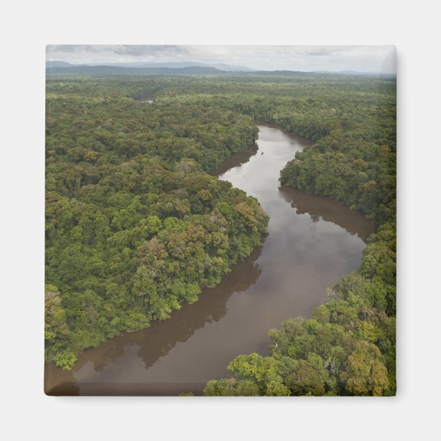 Aimant Rivière Essequibo, rivière la plus longue du Guyan (Devant)