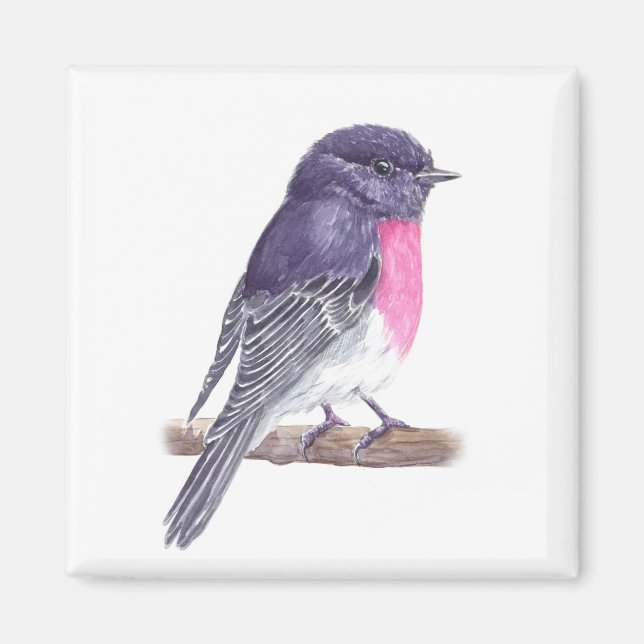 Aimant Robin (Devant)