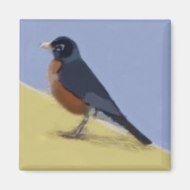 Aimant Robin (Devant)