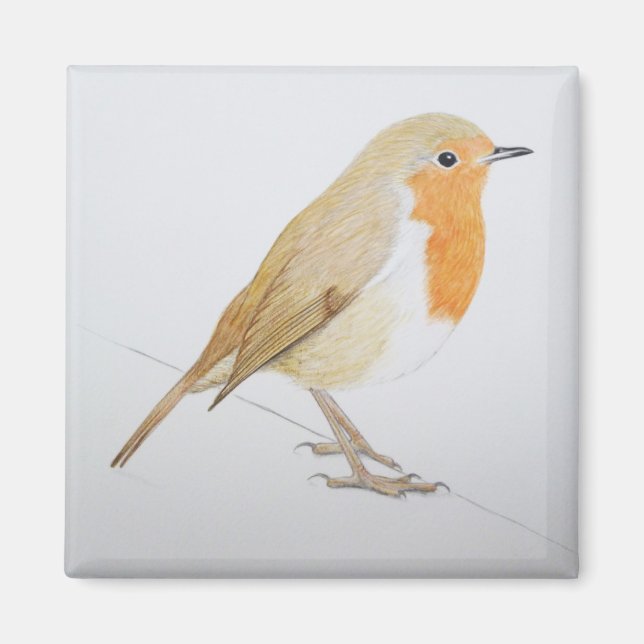 Aimant Robin 2011 (Devant)