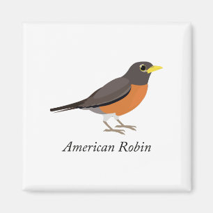 Aimant Robin américain