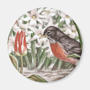 Aimant Robin et peinture rouge de fleurs de ressort de