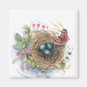 Aimant Robin Nest
