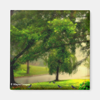 Aimant Robins sur l'aimant de la pelouse