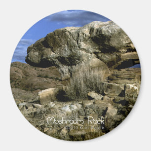 Aimant Rocher Champignon