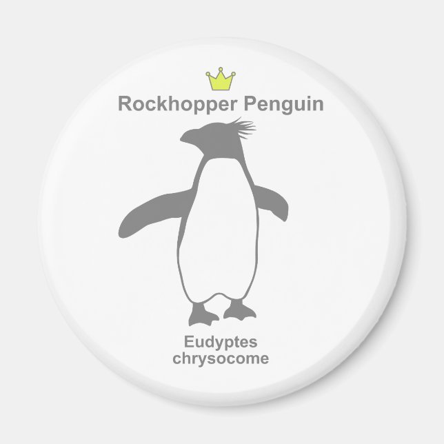 Aimant Rockhopper Penguin g5 (Devant)