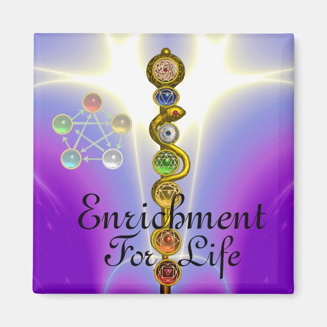 AIMANT RODE D'ASCLEPIUS 7 CHAKRAS, YOGA, ÉNERGIE SPIRITUE (Devant)