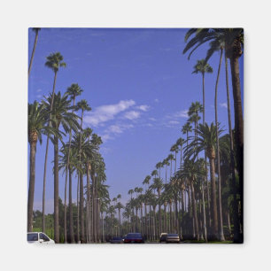 Aimant Rodeo Drive résidentiel, Beverly Hills, la