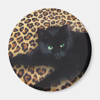 Aimant Roi de la Jungle