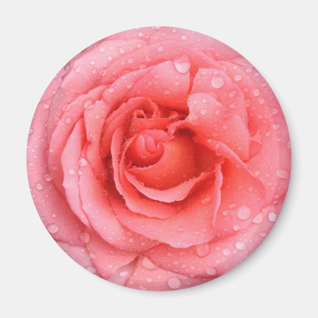 Aimant Romantique Rose rose rouge gouttes d'eau (Devant)