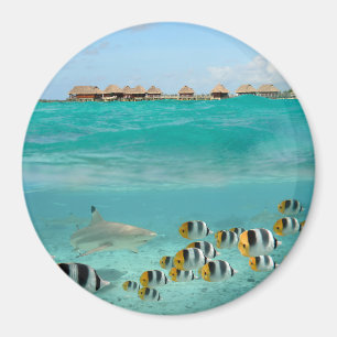 Aimant rond de la lagune de Bora Bora