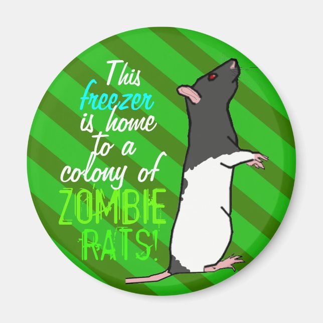 Aimant rond de rat (rat à capuche noire) (Devant)