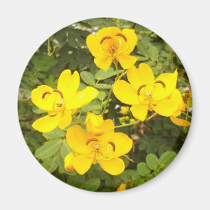 Aimant rond photo Cassia Flowers