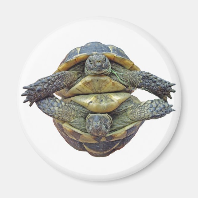 Aimant rond Tortoise (Devant)