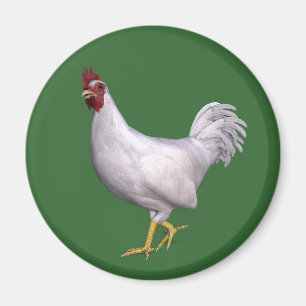 Aimant Rooster blanc