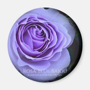 Aimant Rosa Blue Bajou