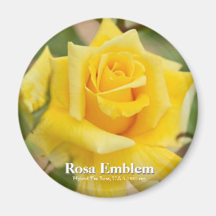 Aimant Rosa Emblem