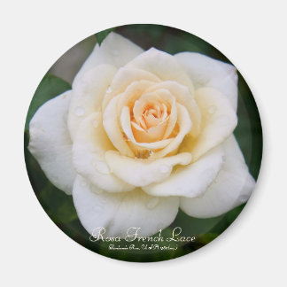 Aimant Rosa French Lace [Round Magnet]