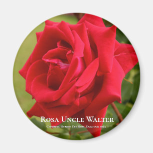 Aimant Rosa Oncle Walter