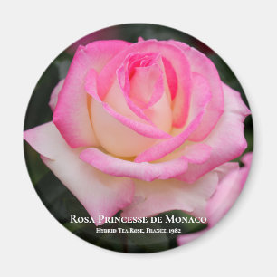 Aimant Rosa Princesse de Monaco