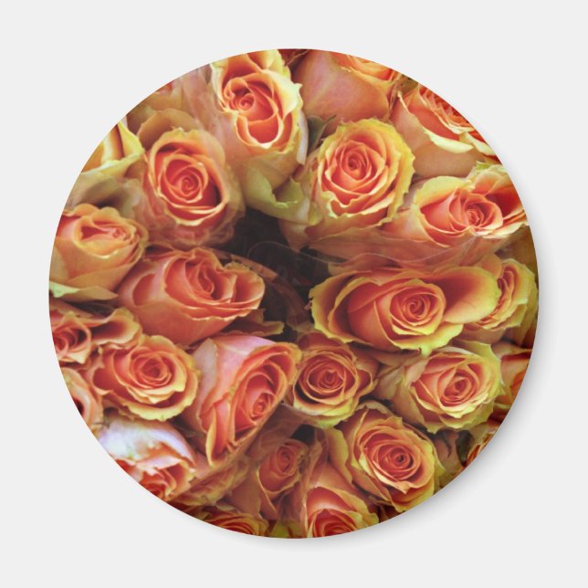 AIMANT ROSE (Devant)