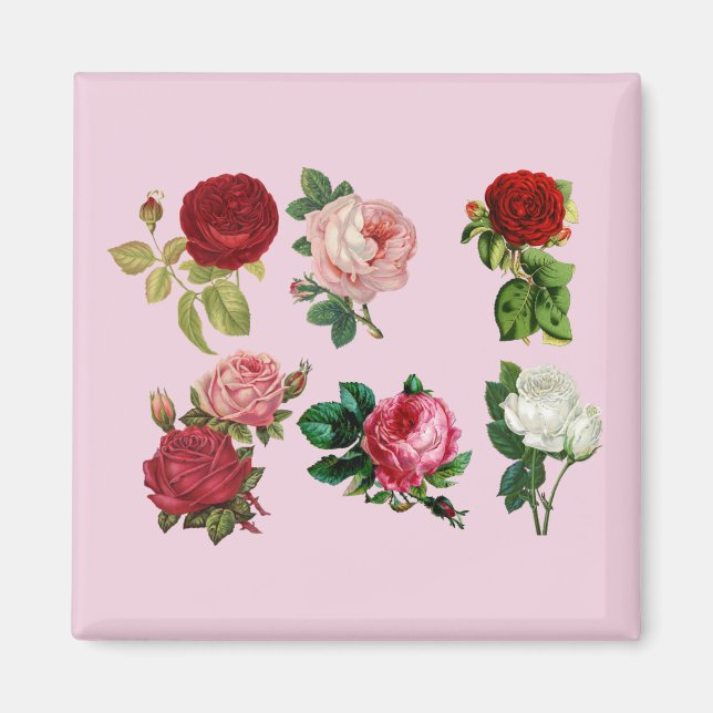 aimant rose (Devant)