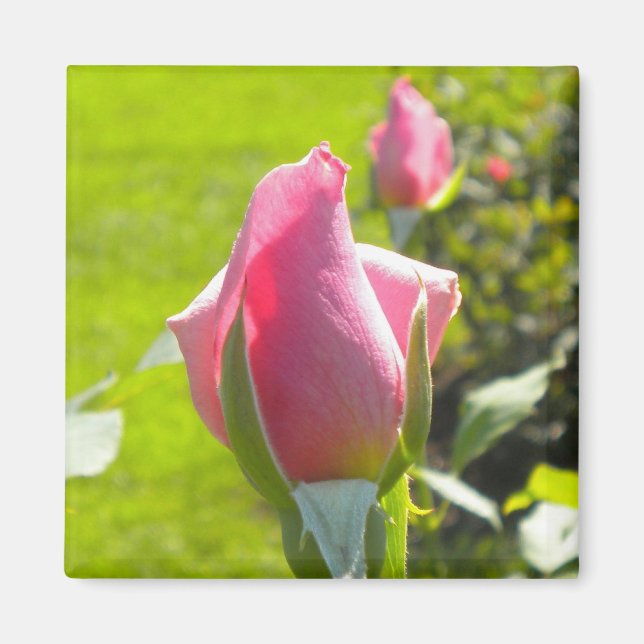 Aimant rose (Devant)