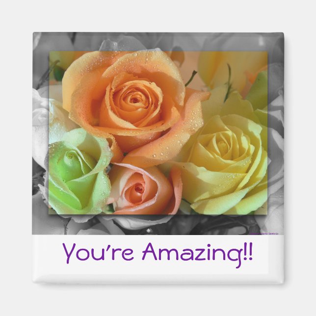 Aimant Rose-aimant coloré (Devant)