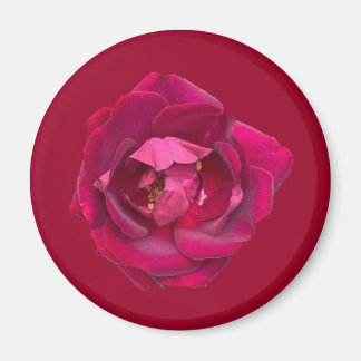 AIMANT ROSE B