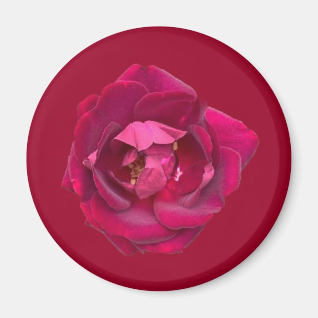 AIMANT ROSE B (Devant)