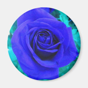 Aimant Rose bleu saphir