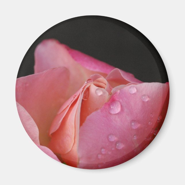 Aimant - Rose Bud (Devant)