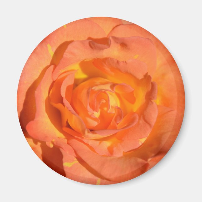 Aimant Rose citron et orange (Devant)