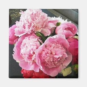 Aimant rose de pivoine de CF