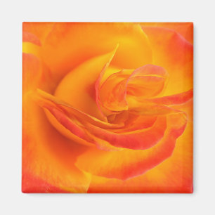 Aimant rose d'orange