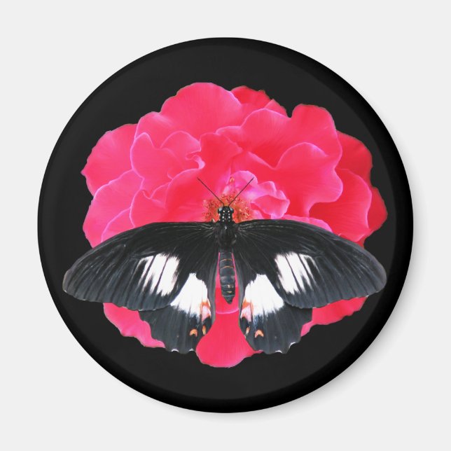 Aimant Rose et Swallowtail (Devant)
