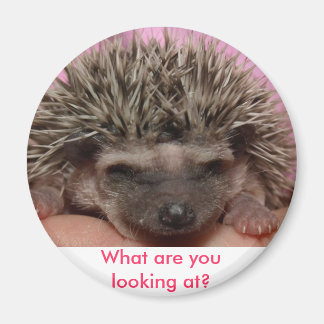 Aimant rose foncé 3, Que regardez-vous ?