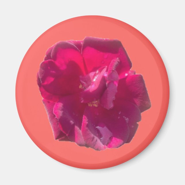 AIMANT ROSE G (Devant)