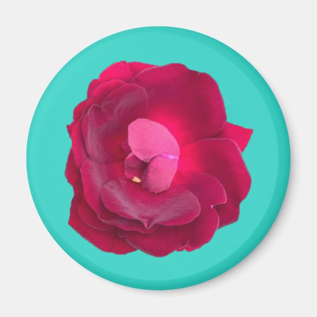 AIMANT ROSE I (Devant)