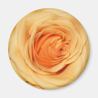 Aimant rose jaune