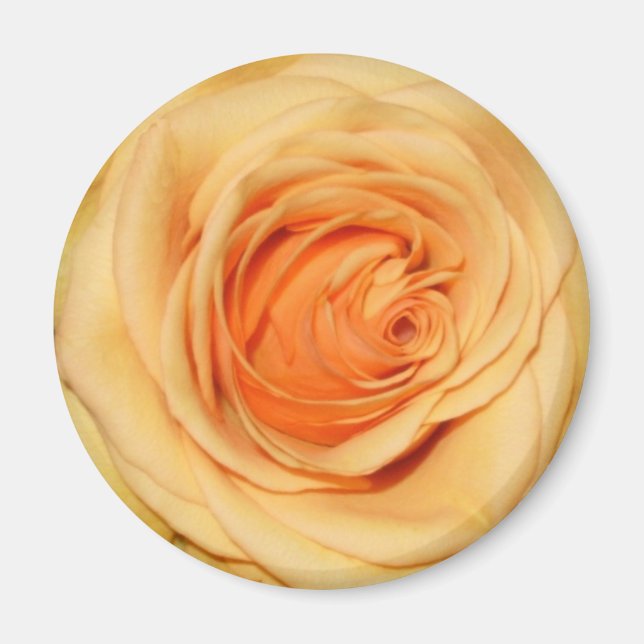 Aimant rose jaune (Devant)